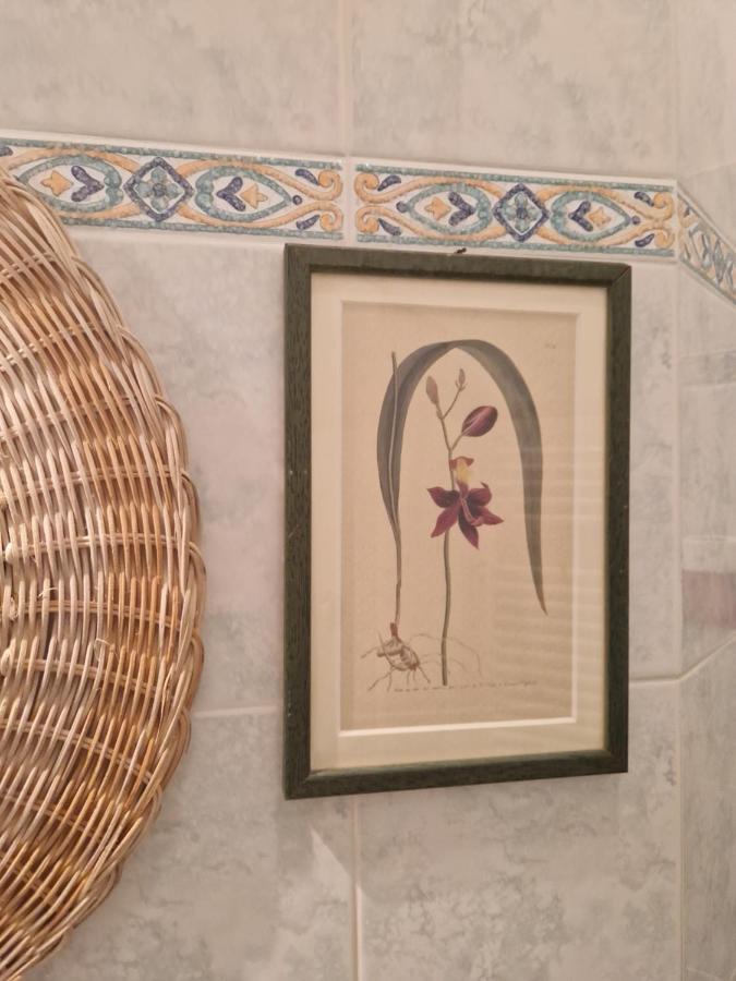 At Monica'S In Rome - Stazione Labaro Leilighet Eksteriør bilde