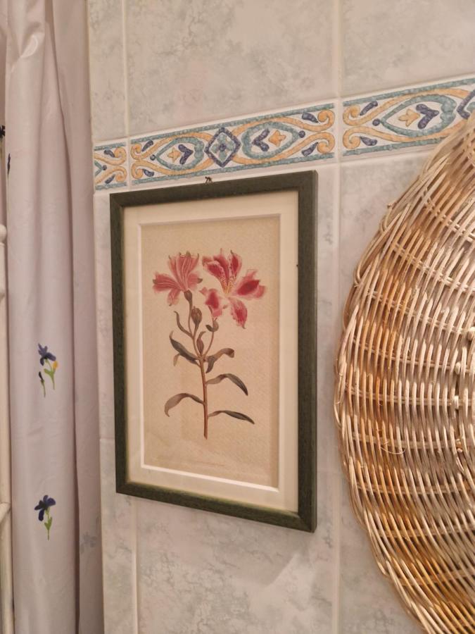 At Monica'S In Rome - Stazione Labaro Leilighet Eksteriør bilde